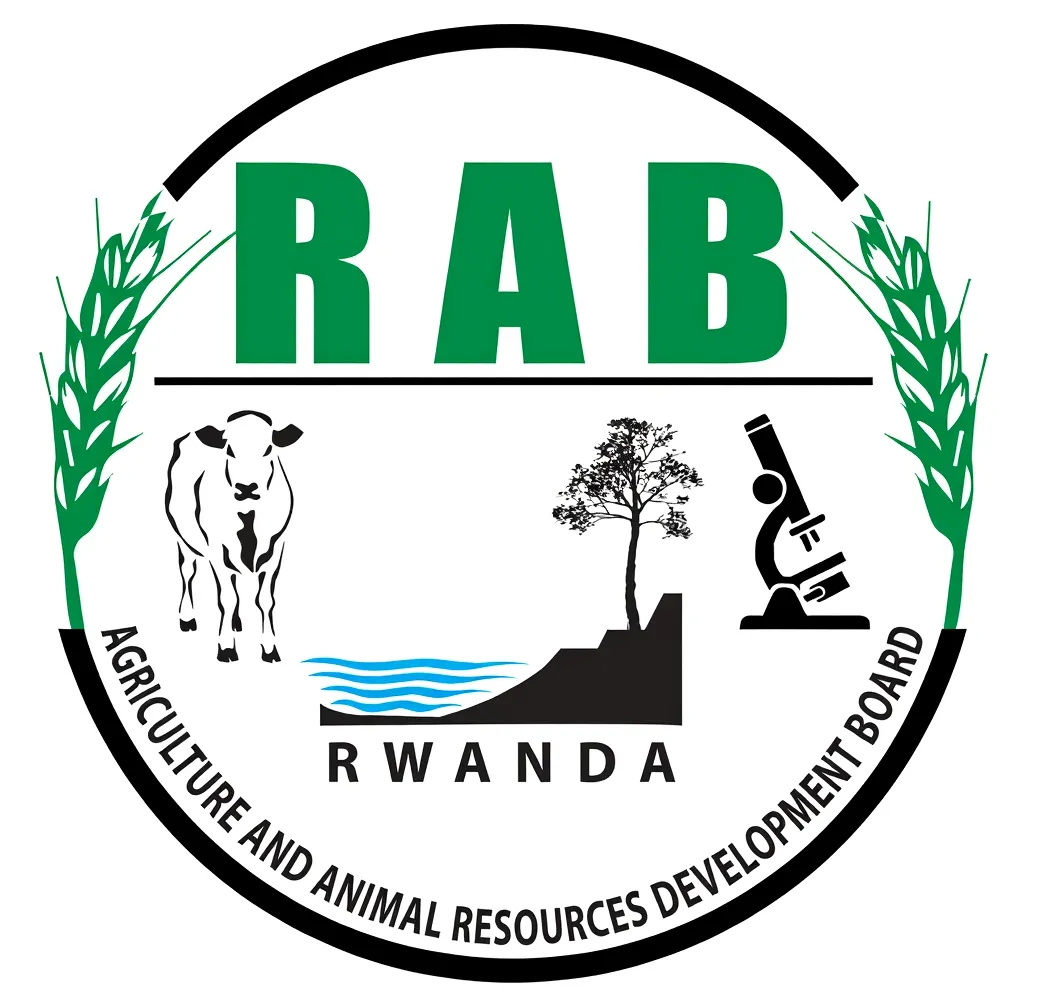 RAB